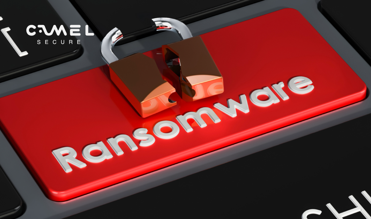 Ransomware es la principal ciberamenaza para especialistas